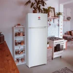 HELADERA TOKYO MOD MAGNA 300 FRÍO HUMEDO 2PUERTAS - Imagen 3