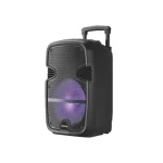 Parlante karaoke Midas con bluettooth PS1311
