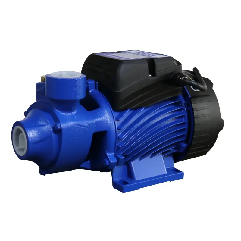 MOTO MOTOBOMBA RK 50 220V 1/2HP QB60 RESA - Imagen 1