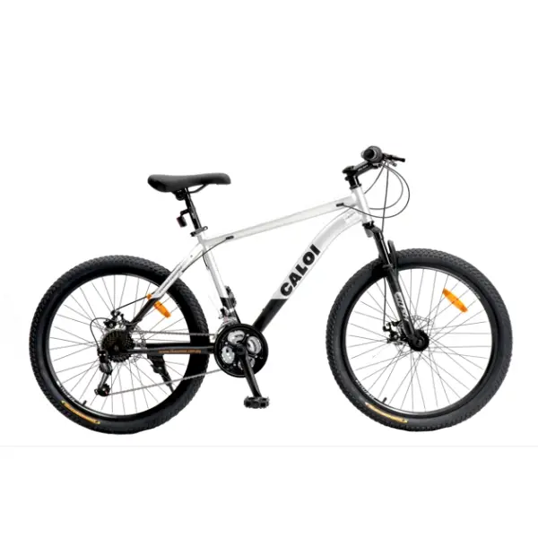 caloi-bicicletas-bicicleta-caloi-rider-sport-aro-20-gris-1-1-1748542413 BICICLETA CALOI RIDER SPORT 20 GRIS - Imagen 1