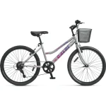 BICICLETA CALOI CALIFORNIA 24 GRIS