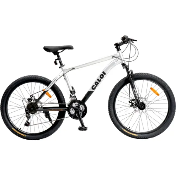638916606552582407_04cb4ece-667c-4dfe-9f72-89cafa1aa9dc_0 BICICLETA CALOI RIDER SPORTS 29 PLATA - Imagen 1