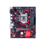 Producto 49702 - Imagen 5
