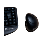 Producto 49979 - Imagen 3