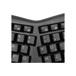 Producto 49979 - Imagen 5